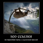 Нужны ли SEO ссылки ?